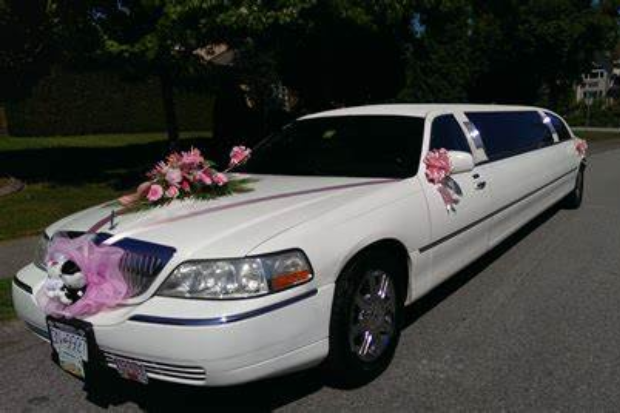 hire limousine wedding services